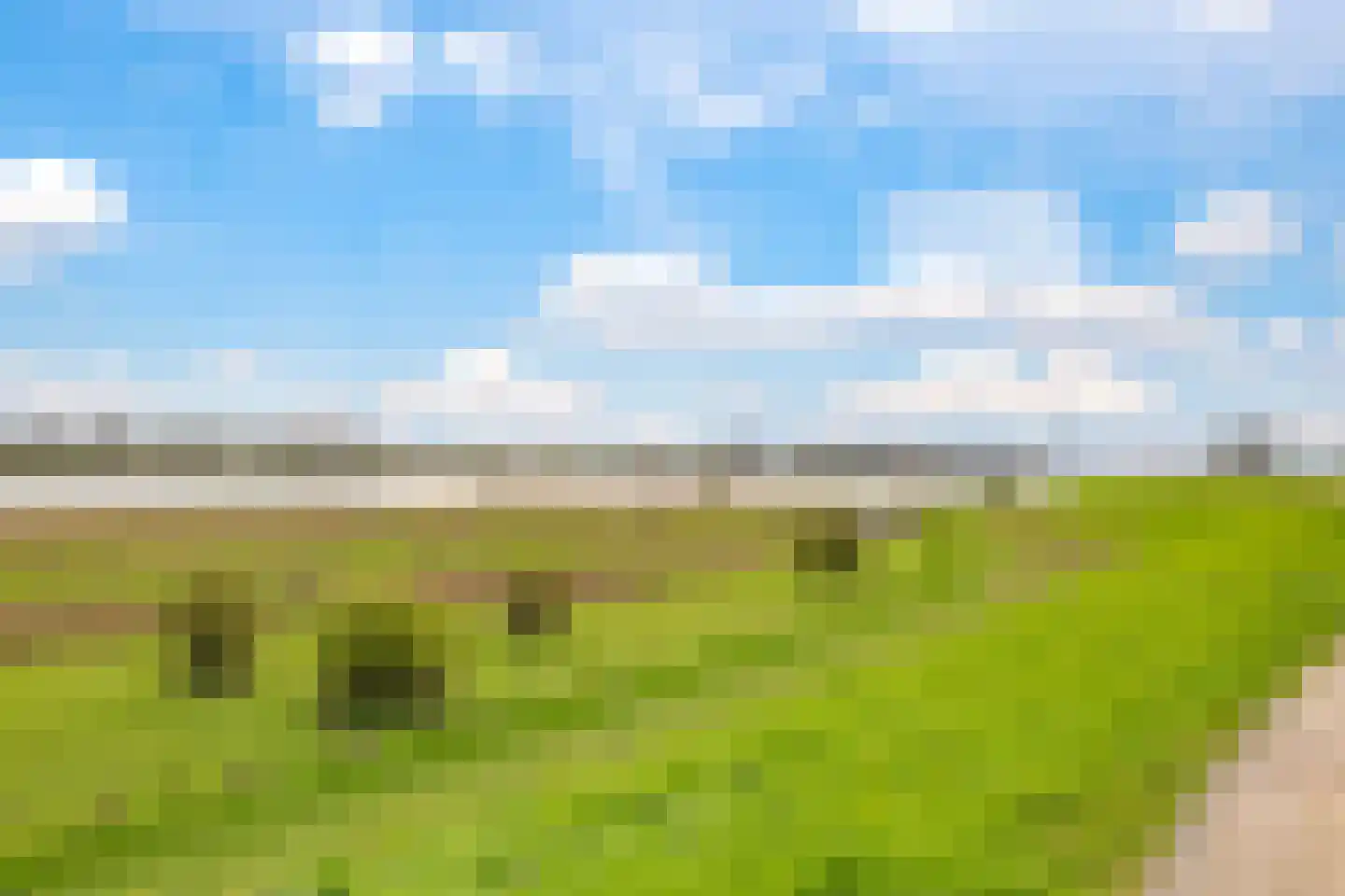 Blauwe Hoek 60 c Doornenburg thumbnail 65