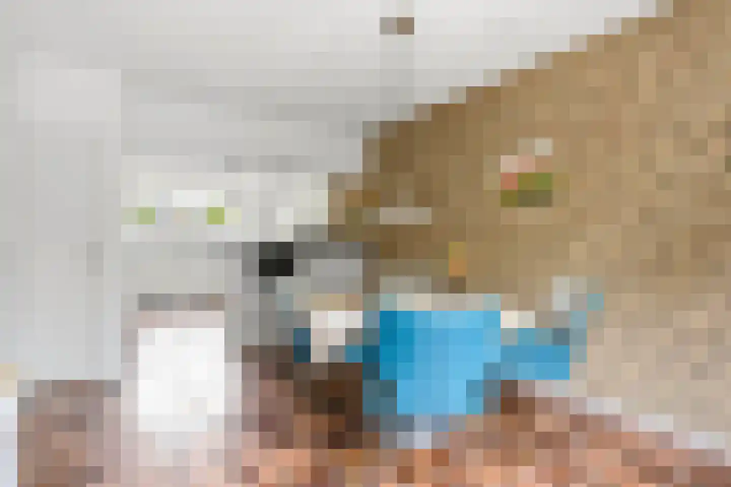 Blauwe Hof 4022 Wijchen thumbnail 11