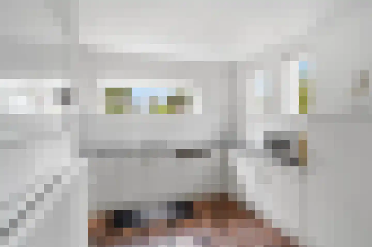 Blauwe Hof 4022 Wijchen thumbnail 12