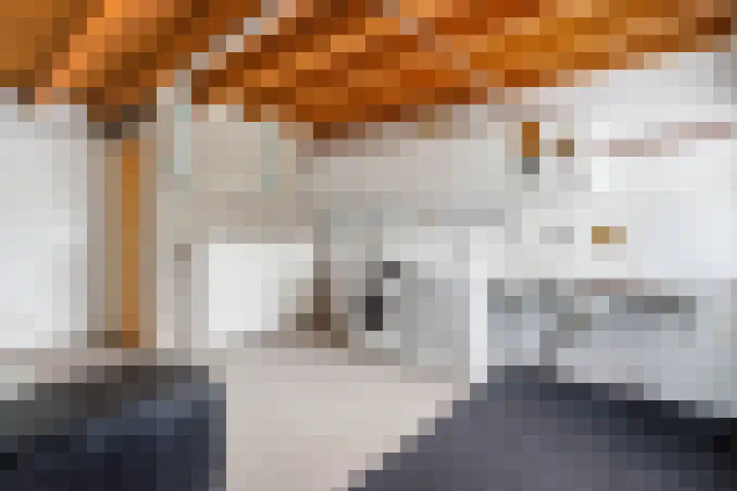 Blauwe Hof 4022 Wijchen thumbnail 18