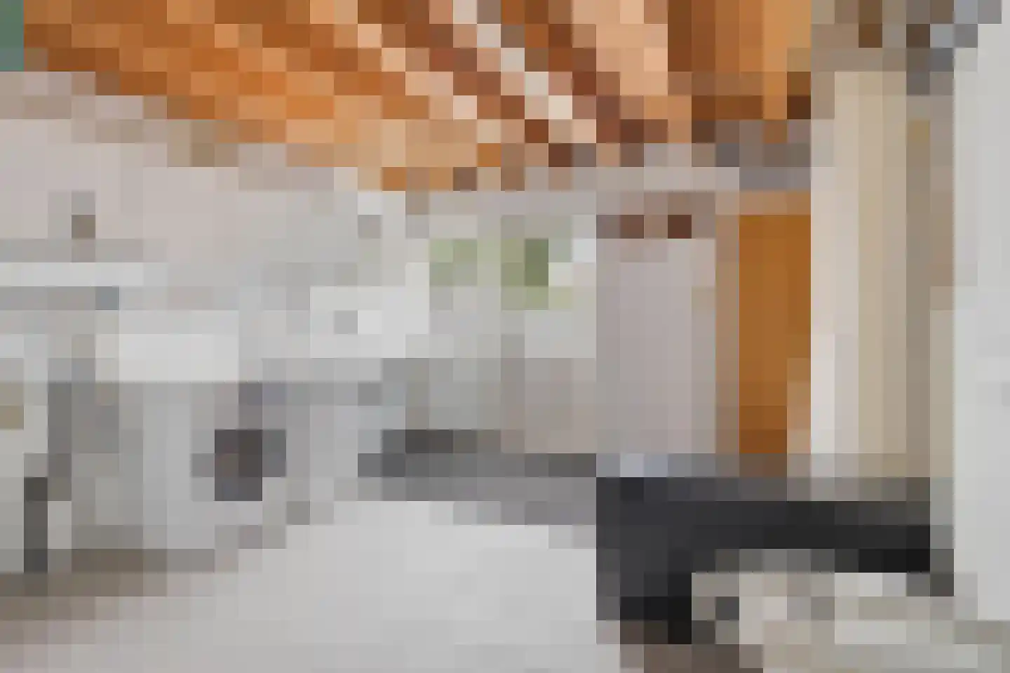 Blauwe Hof 4022 Wijchen thumbnail 19