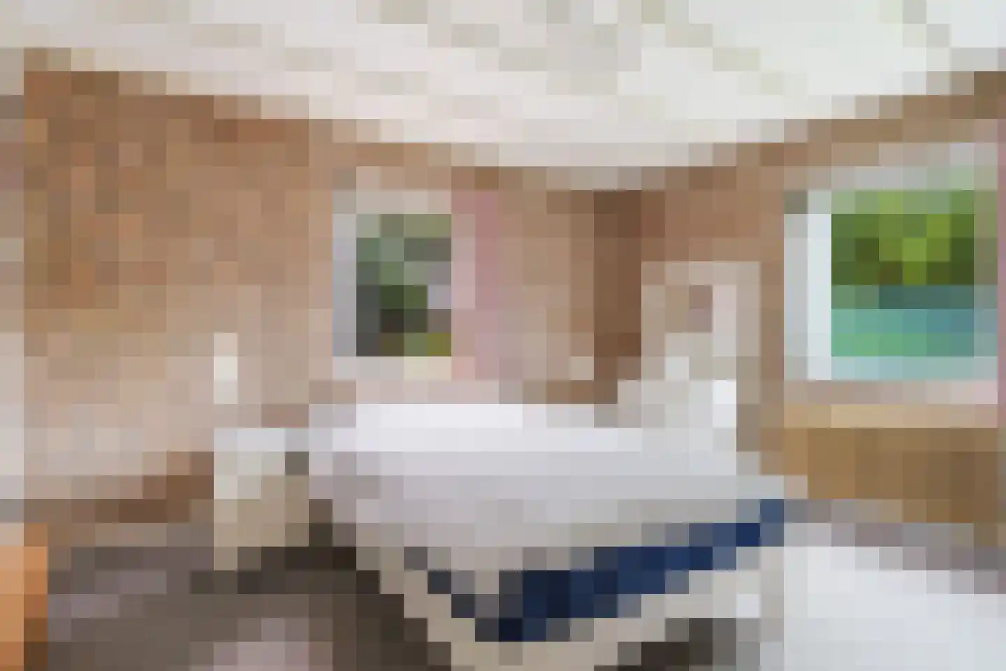 Blauwe Hof 4022 Wijchen thumbnail 22