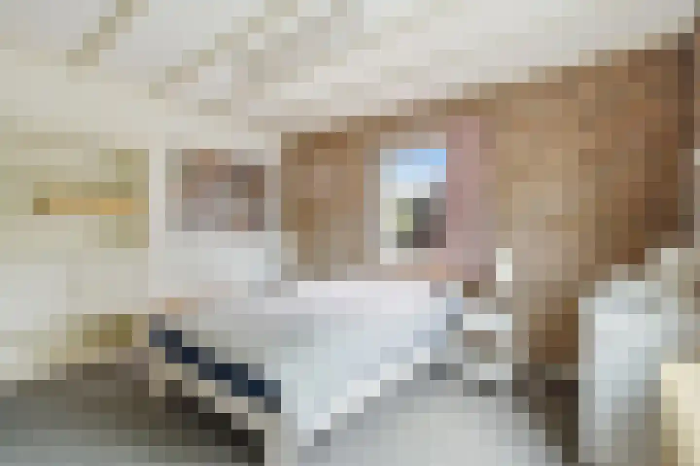 Blauwe Hof 4022 Wijchen thumbnail 23