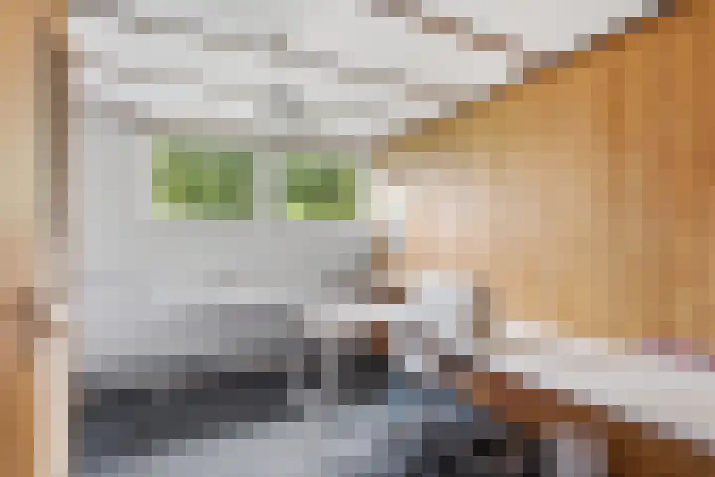 Blauwe Hof 4022 Wijchen thumbnail 30