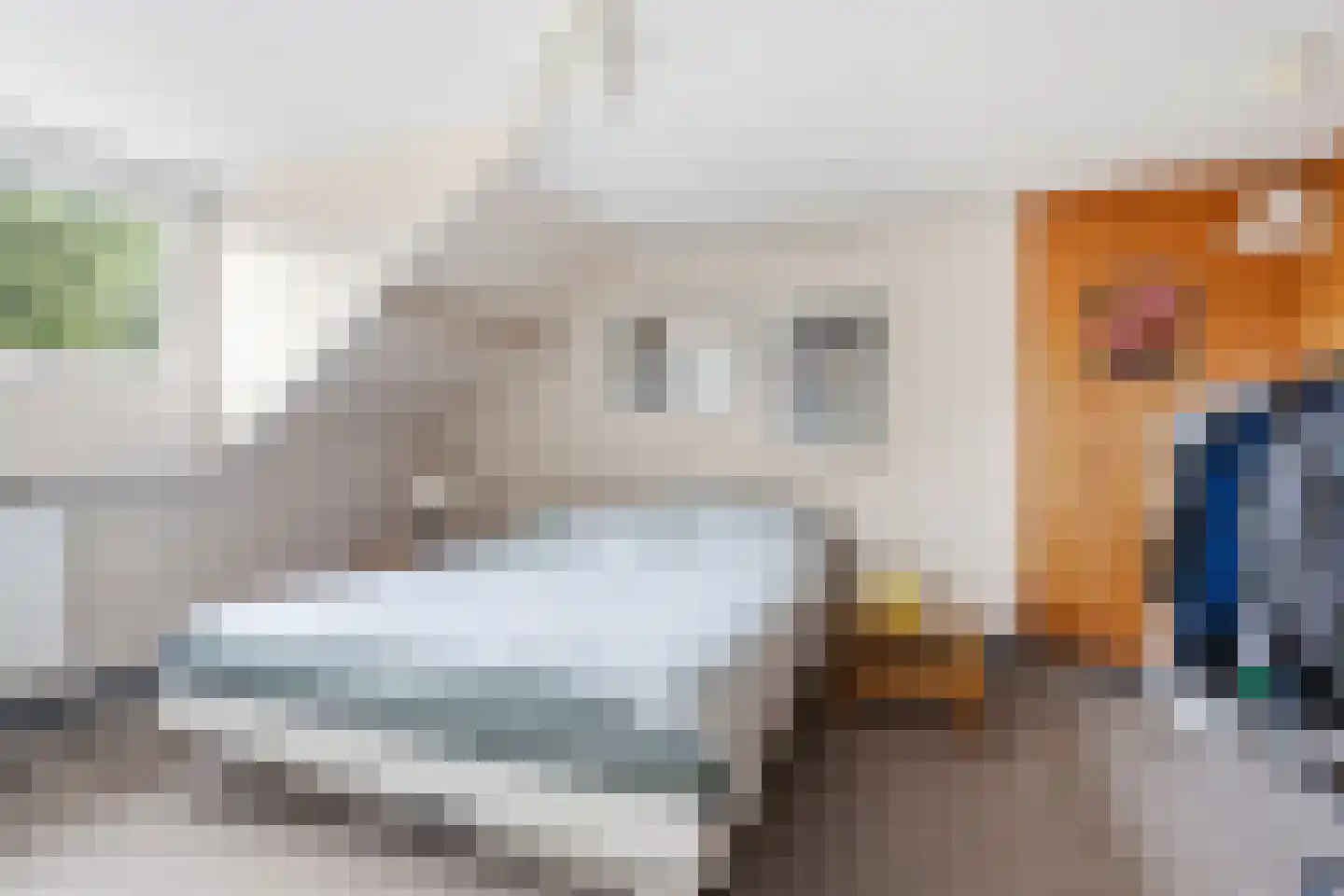 Blauwe Hof 4022 Wijchen thumbnail 32