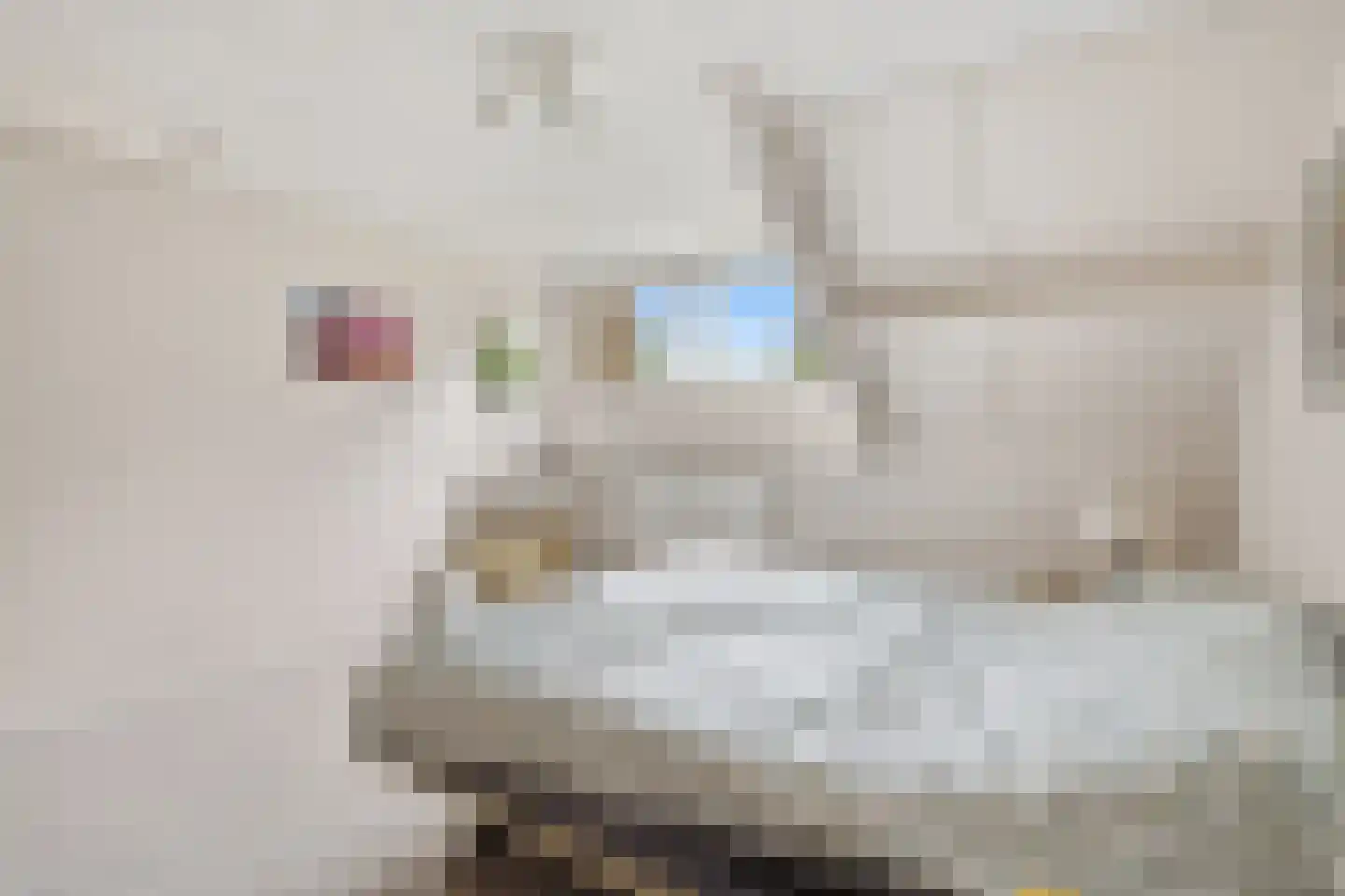 Blauwe Hof 4022 Wijchen thumbnail 33