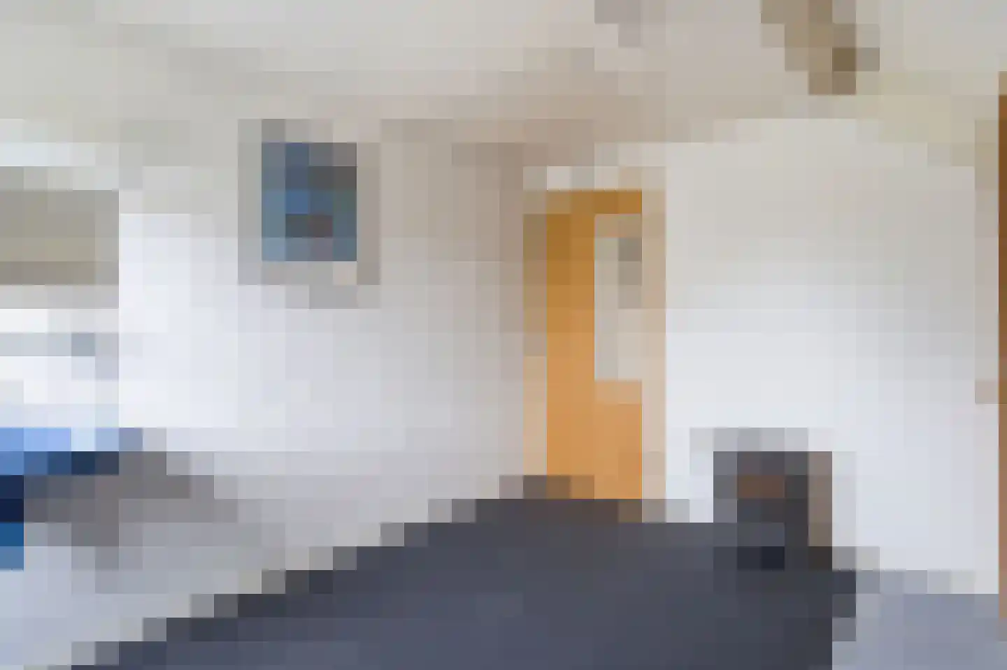 Blauwe Hof 4022 Wijchen thumbnail 35