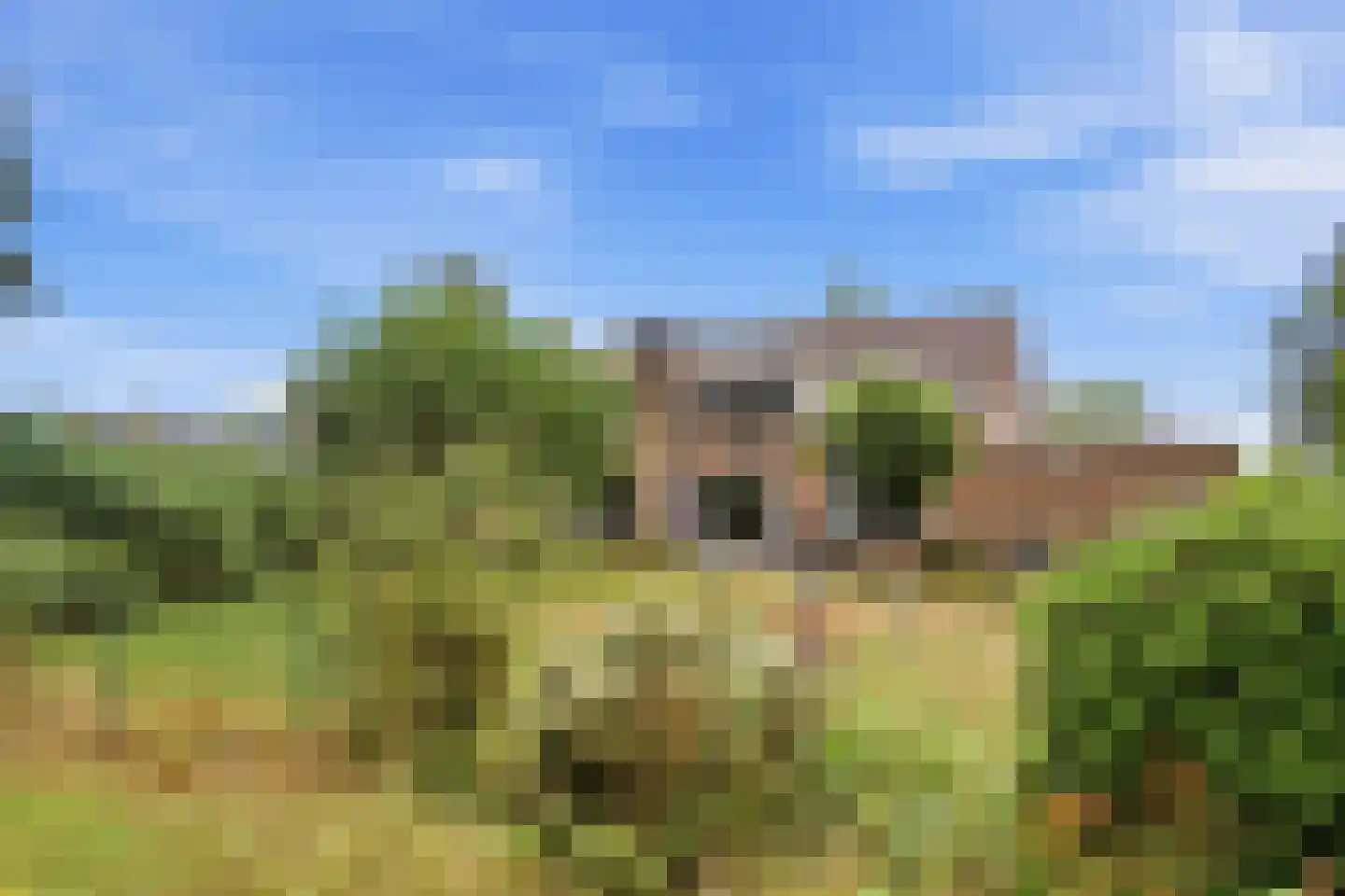 Blauwe Hof 4022 Wijchen thumbnail 4