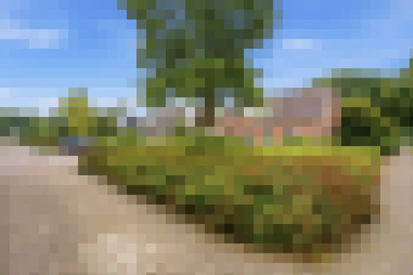 Blauwe Hof 4022 Wijchen thumbnail 44