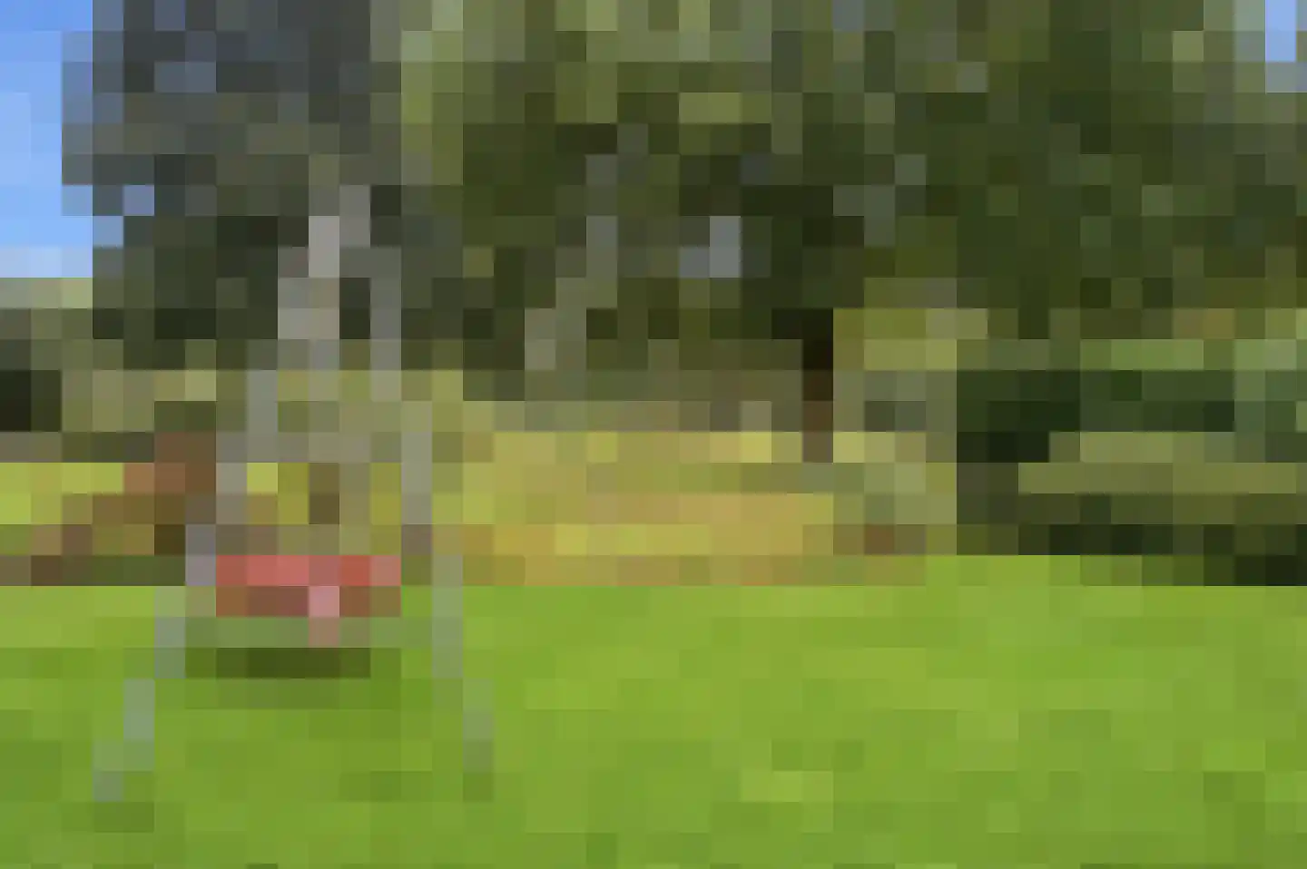 Blauwe Hof 4022 Wijchen thumbnail 51