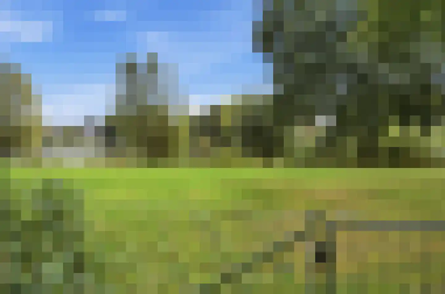 Blauwe Hof 4022 Wijchen thumbnail 52