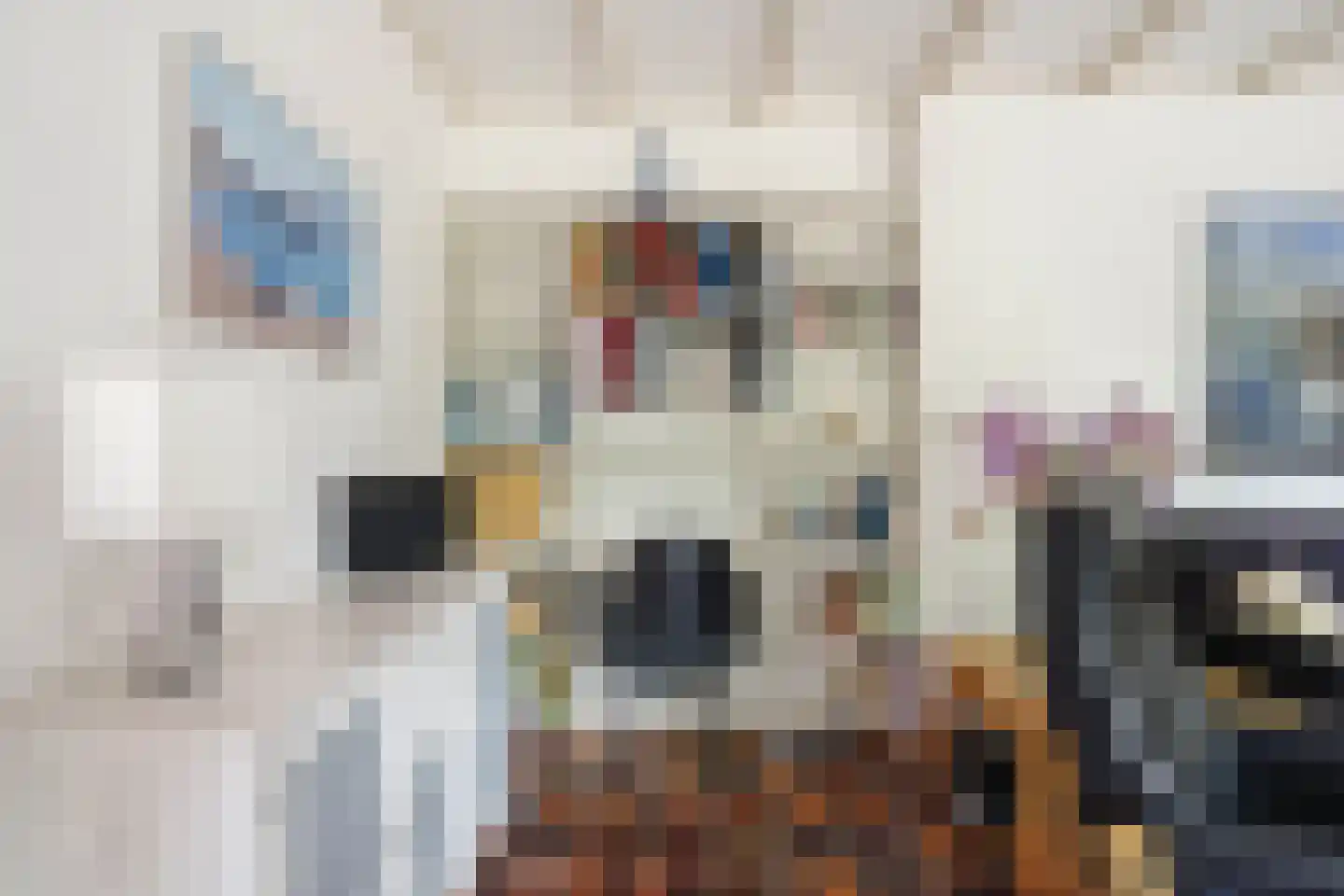 Blauwe Hof 4022 Wijchen thumbnail 9