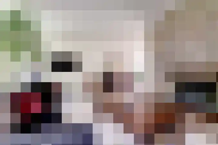 Blauwe Hof 4307 Wijchen thumbnail 10