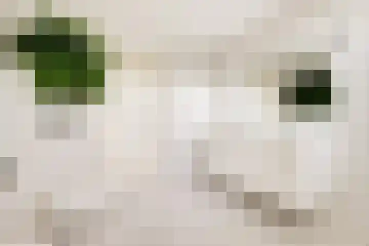Blauwe Hof 4307 Wijchen thumbnail 28