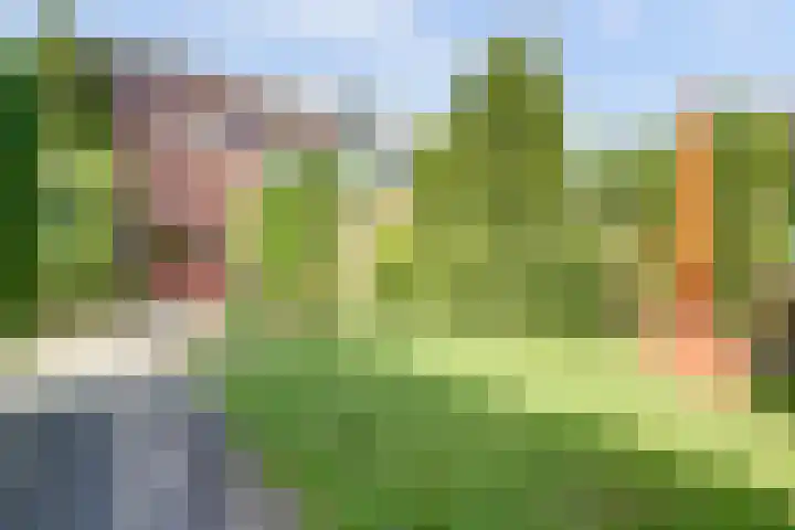 Blauwe Hof 4307 Wijchen thumbnail 32