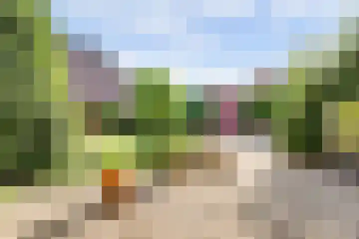 Blauwe Hof 4307 Wijchen thumbnail 35