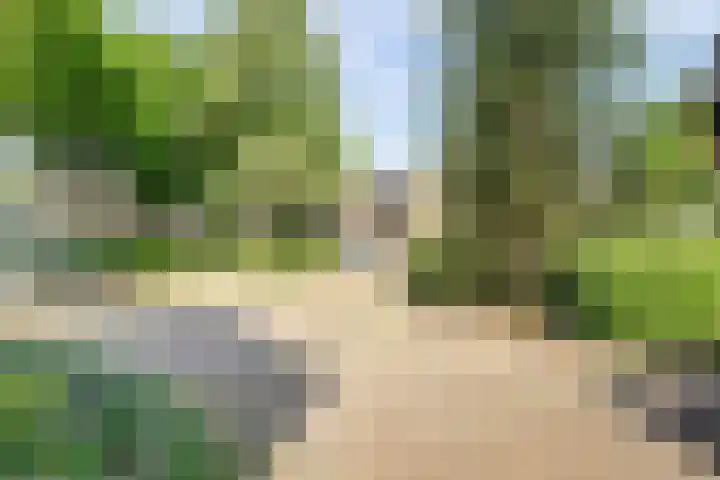 Blauwe Hof 4307 Wijchen thumbnail 38