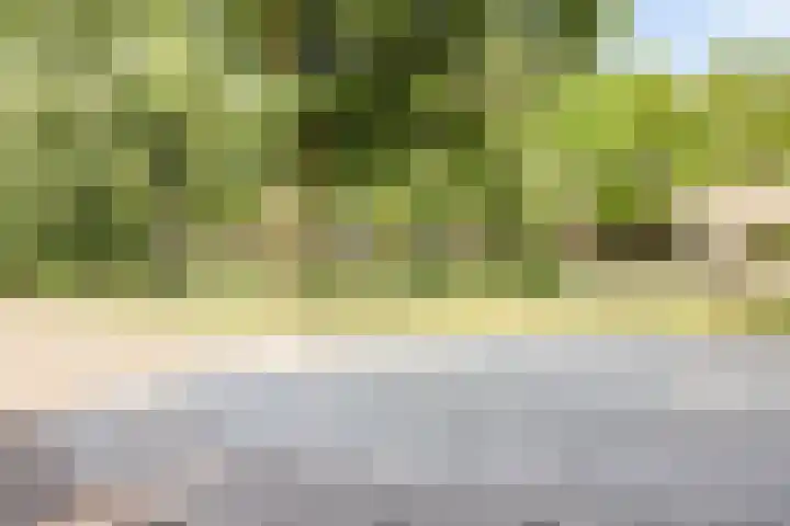 Blauwe Hof 4307 Wijchen thumbnail 39