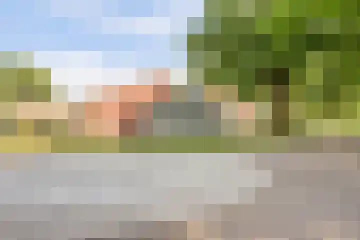 Blauwe Hof 4307 Wijchen thumbnail 40
