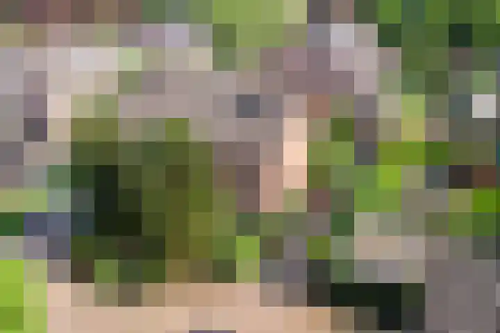Blauwe Hof 4307 Wijchen thumbnail 41