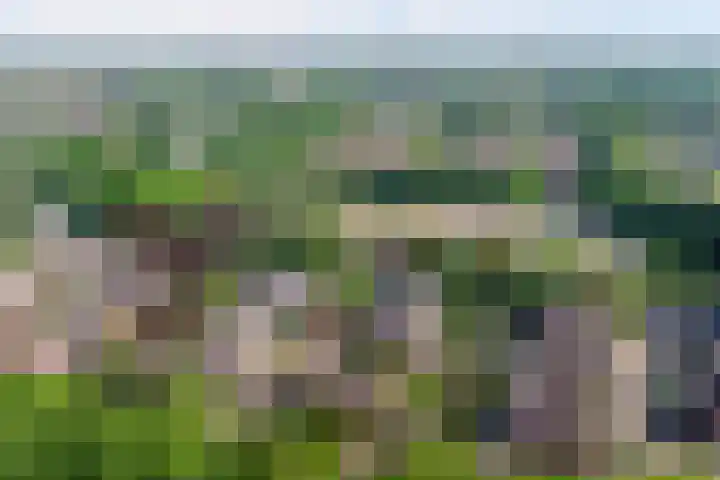 Blauwe Hof 4307 Wijchen thumbnail 42