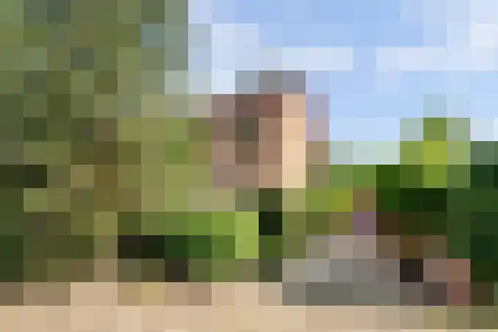 Blauwe Hof 4307 Wijchen thumbnail 48