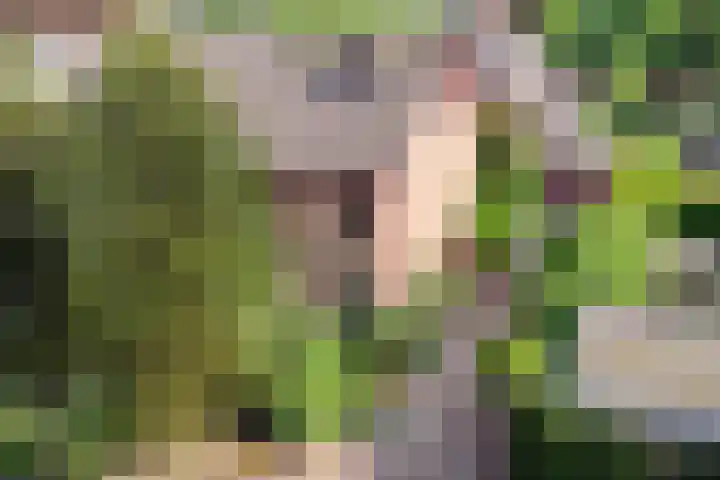 Blauwe Hof 4307 Wijchen thumbnail 5