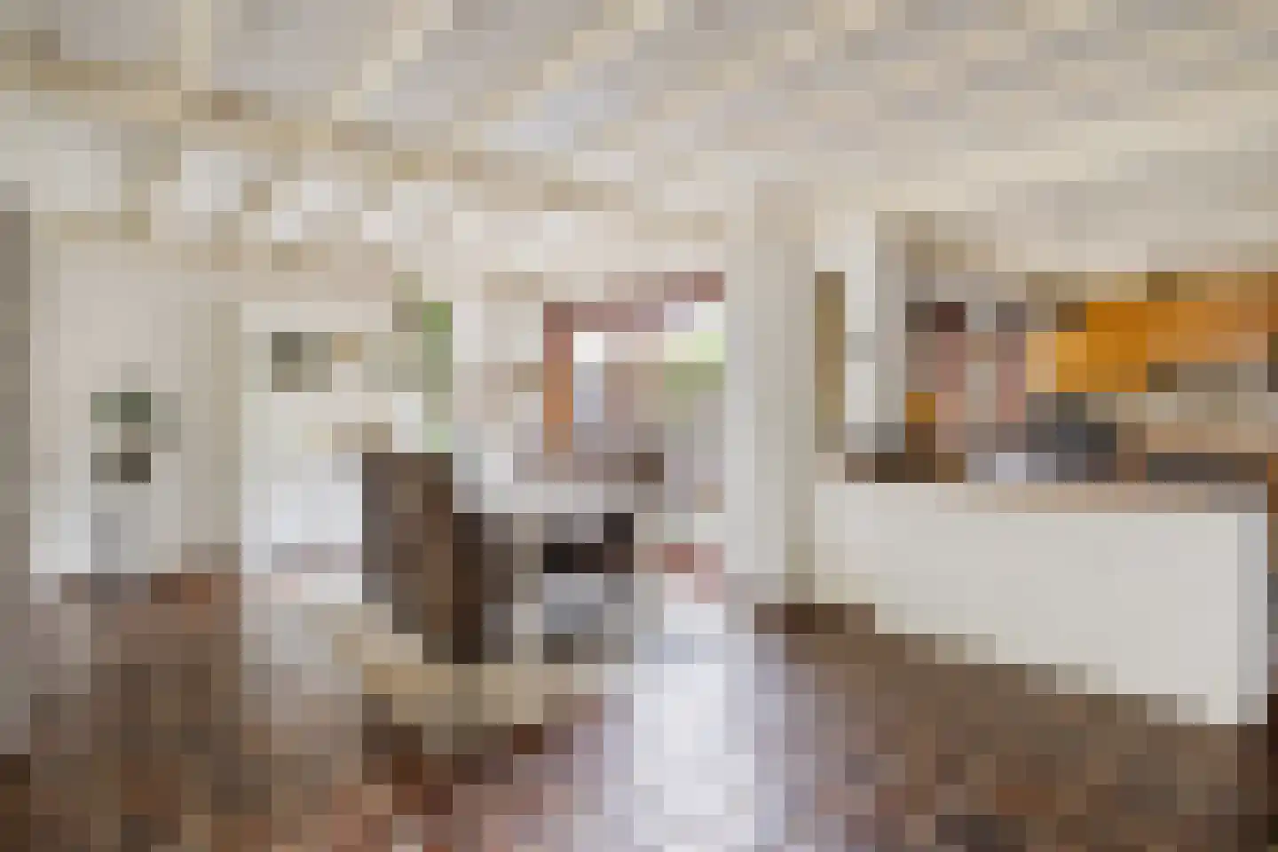 Blauwe Hof 4320 Wijchen thumbnail 10
