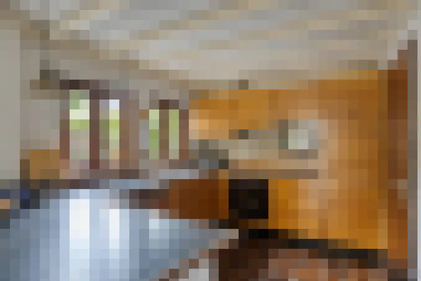 Blauwe Hof 4320 Wijchen thumbnail 12