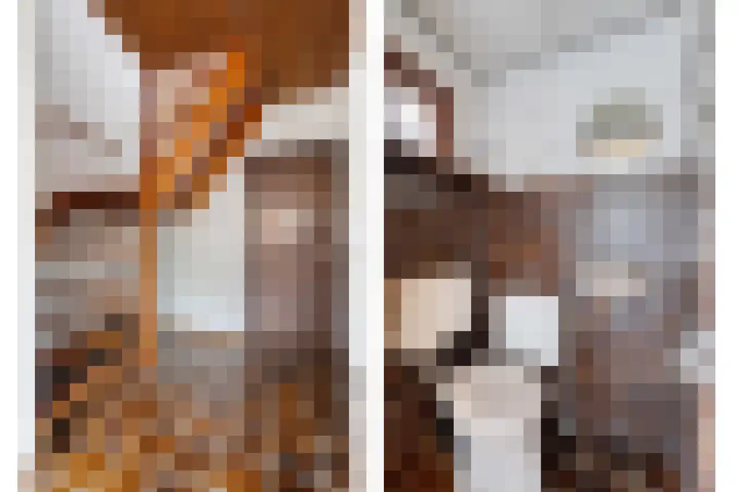 Blauwe Hof 4320 Wijchen thumbnail 16