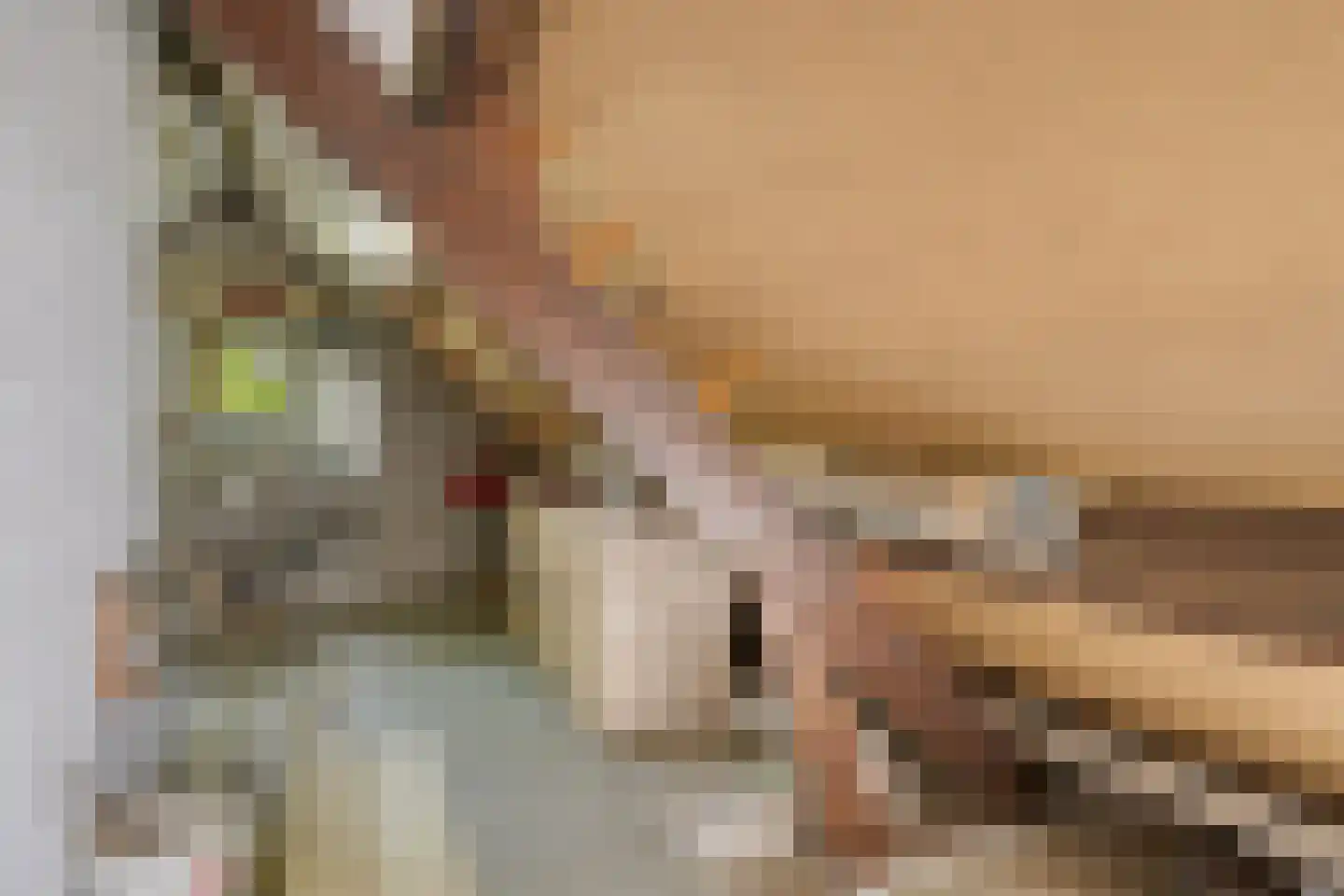 Blauwe Hof 4320 Wijchen thumbnail 19