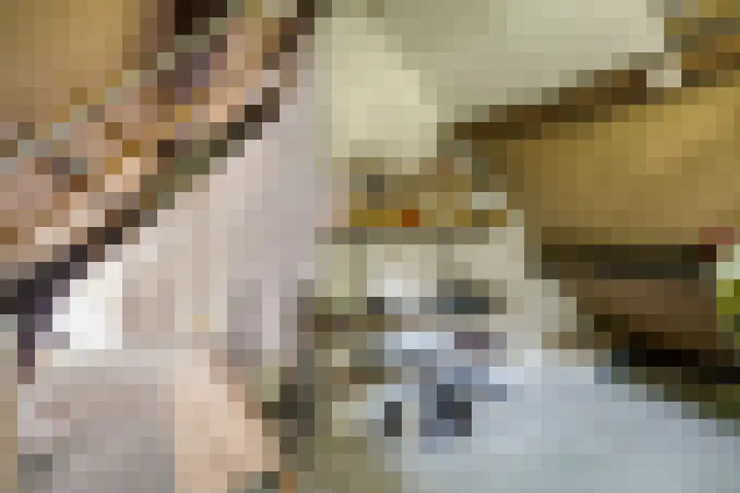 Blauwe Hof 4320 Wijchen thumbnail 20