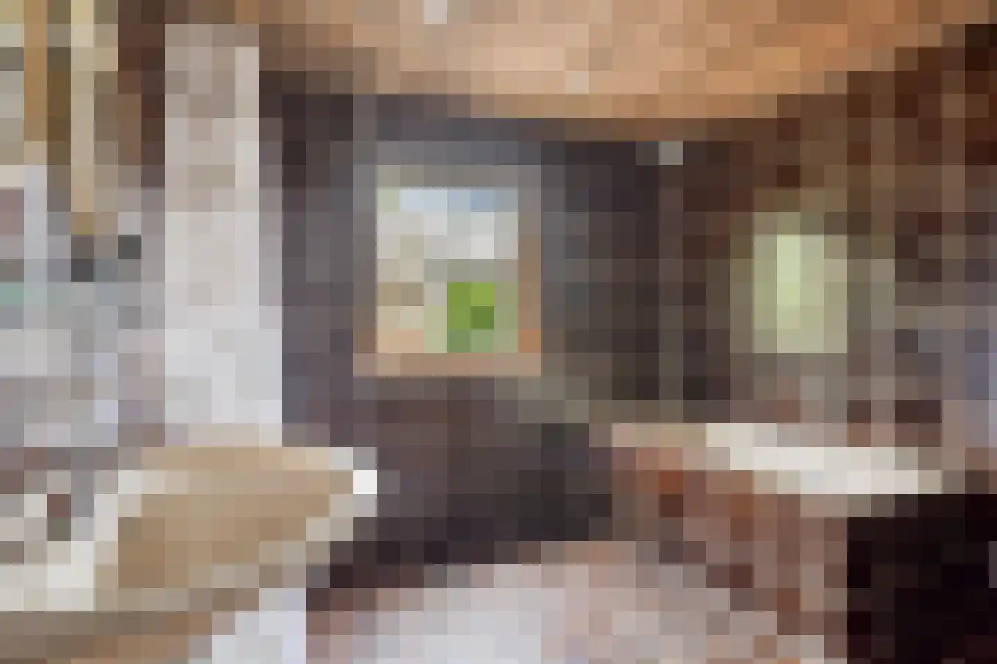 Blauwe Hof 4320 Wijchen thumbnail 30