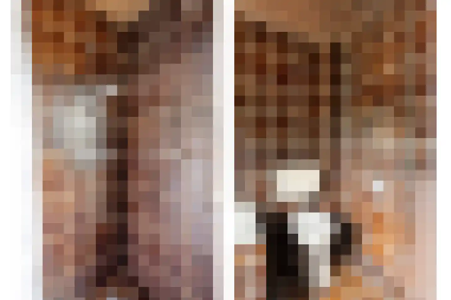 Blauwe Hof 4320 Wijchen thumbnail 32