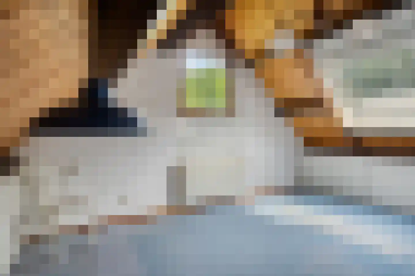 Blauwe Hof 4320 Wijchen thumbnail 37