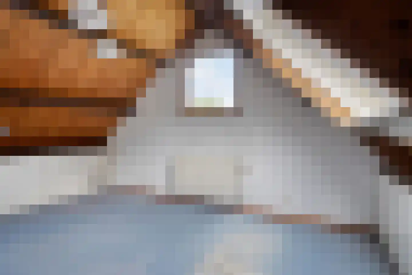 Blauwe Hof 4320 Wijchen thumbnail 38