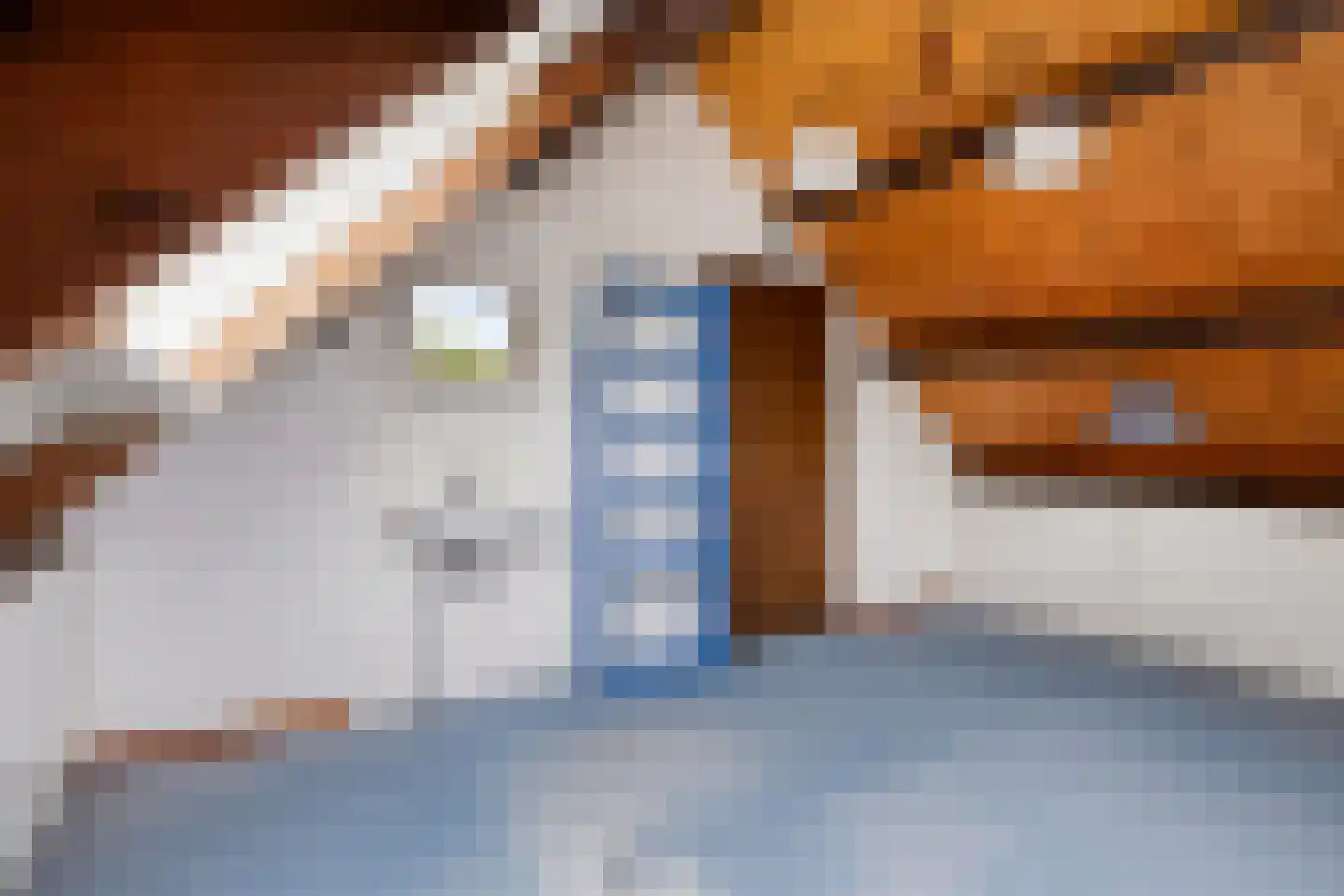 Blauwe Hof 4320 Wijchen thumbnail 39
