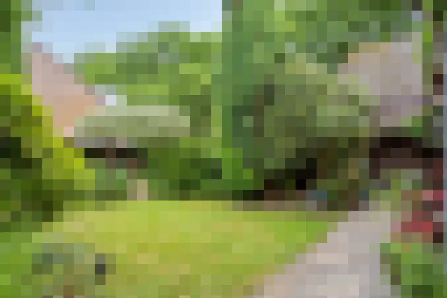 Blauwe Hof 4320 Wijchen thumbnail 44
