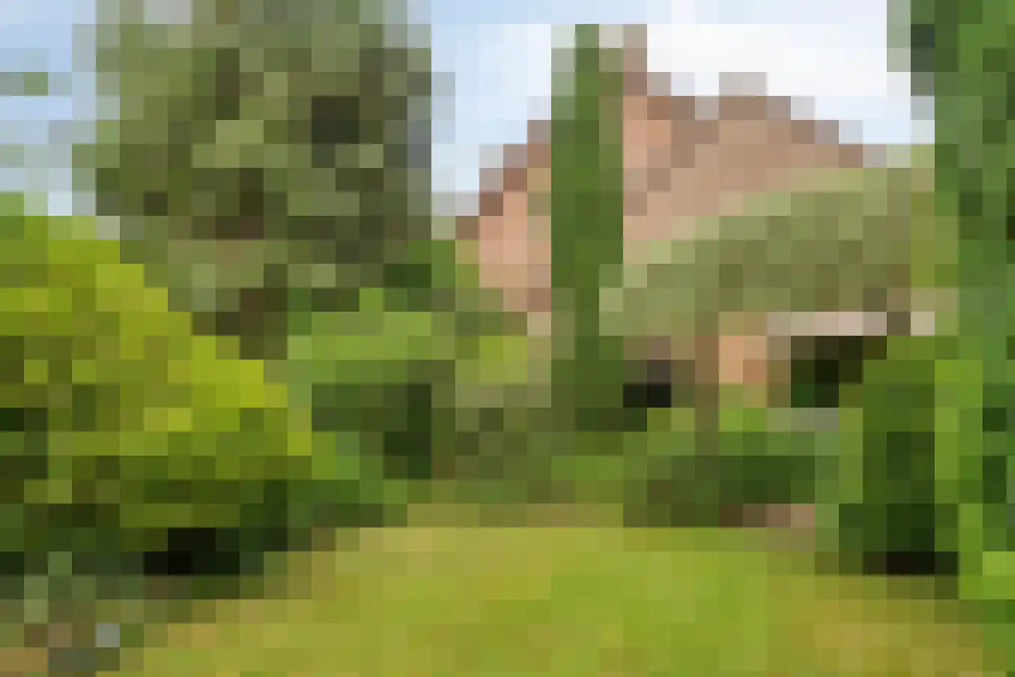 Blauwe Hof 4320 Wijchen thumbnail 45