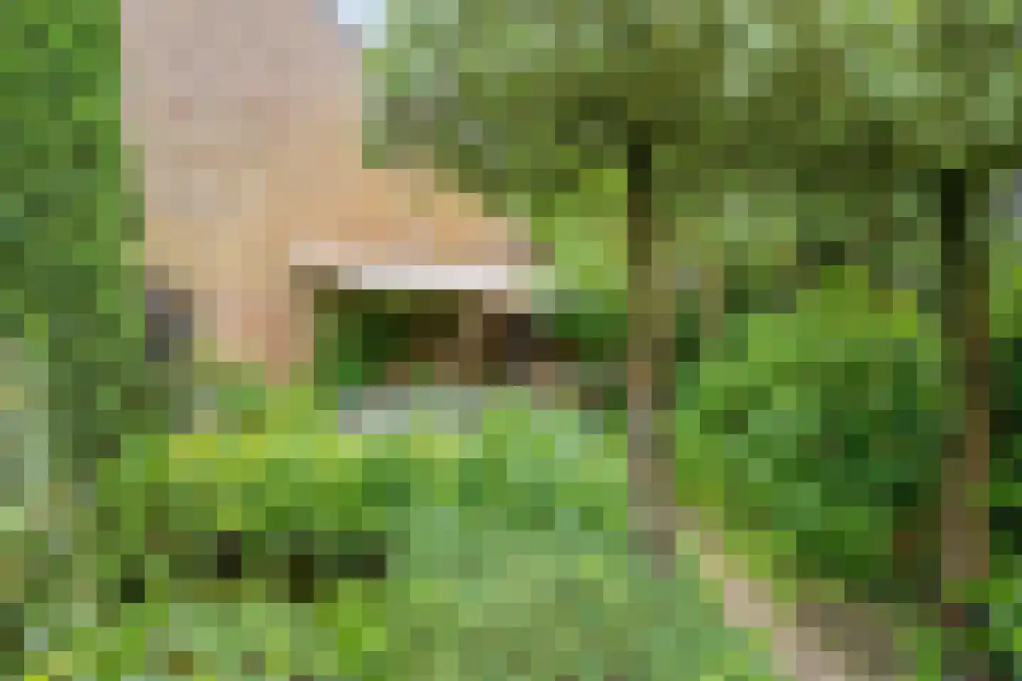 Blauwe Hof 4320 Wijchen thumbnail 46