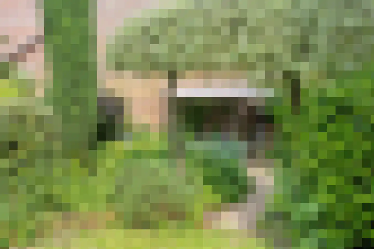 Blauwe Hof 4320 Wijchen thumbnail 47