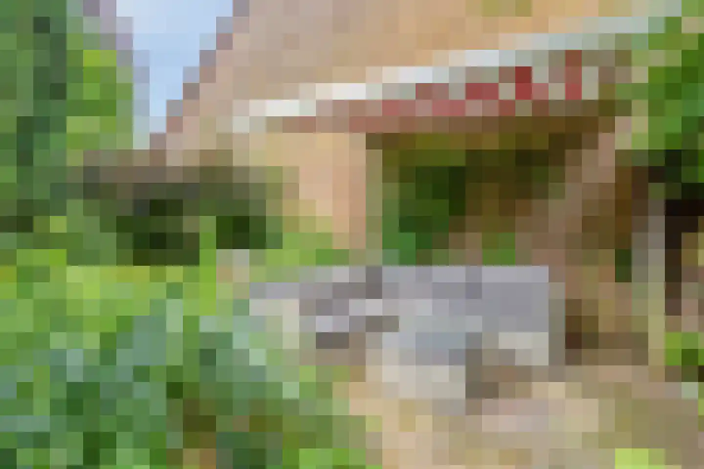 Blauwe Hof 4320 Wijchen thumbnail 48