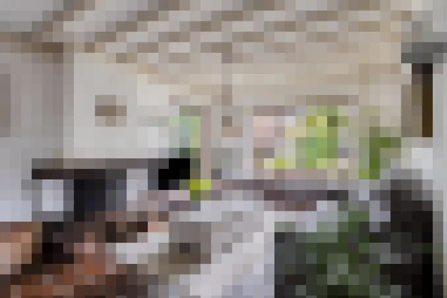 Blauwe Hof 4320 Wijchen thumbnail 5