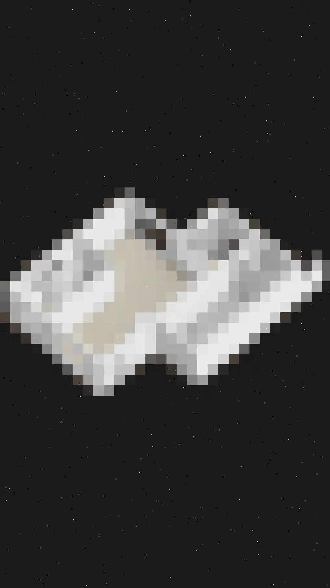 Blauwe Hof 4320 Wijchen thumbnail 55