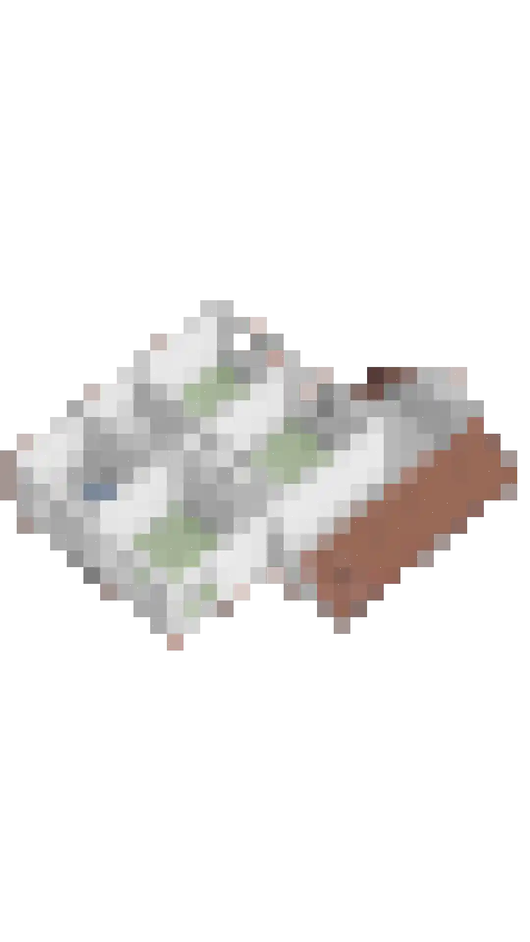Blauwe Hof 4320 Wijchen thumbnail 57
