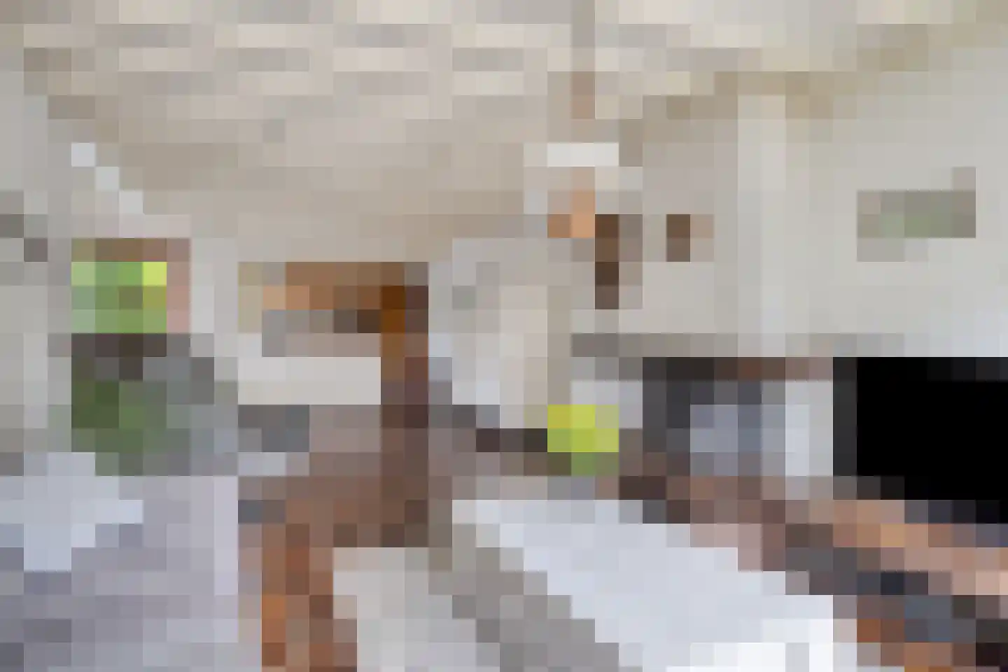 Blauwe Hof 4320 Wijchen thumbnail 6