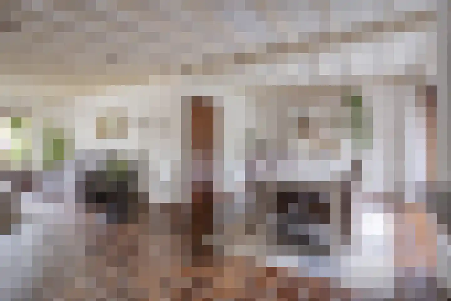 Blauwe Hof 4320 Wijchen thumbnail 8