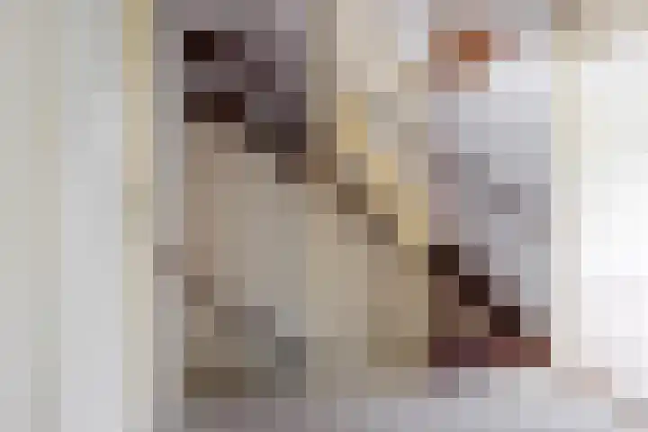 Blauwe Hof 5902 Wijchen thumbnail 24