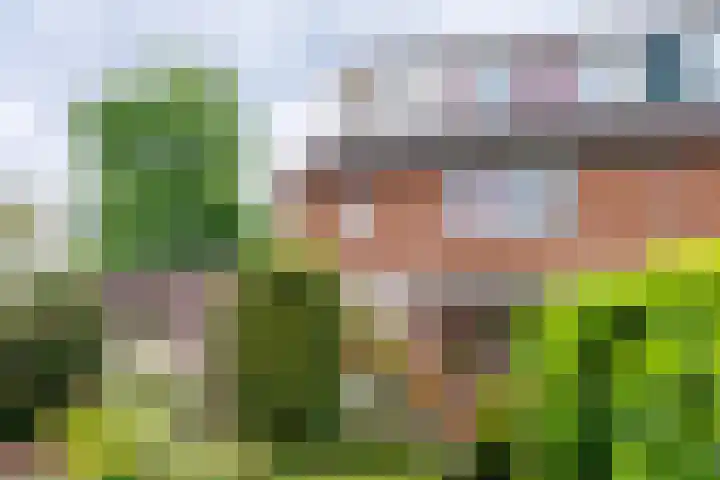 Blauwe Hof 5902 Wijchen thumbnail 28