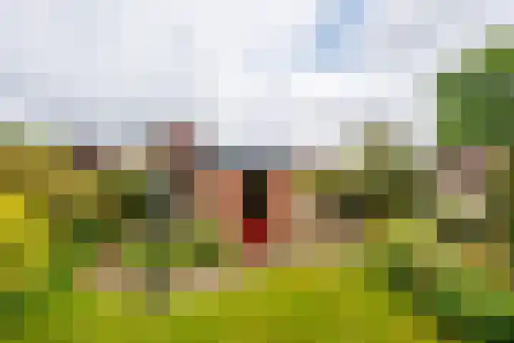 Blauwe Hof 5902 Wijchen thumbnail 29